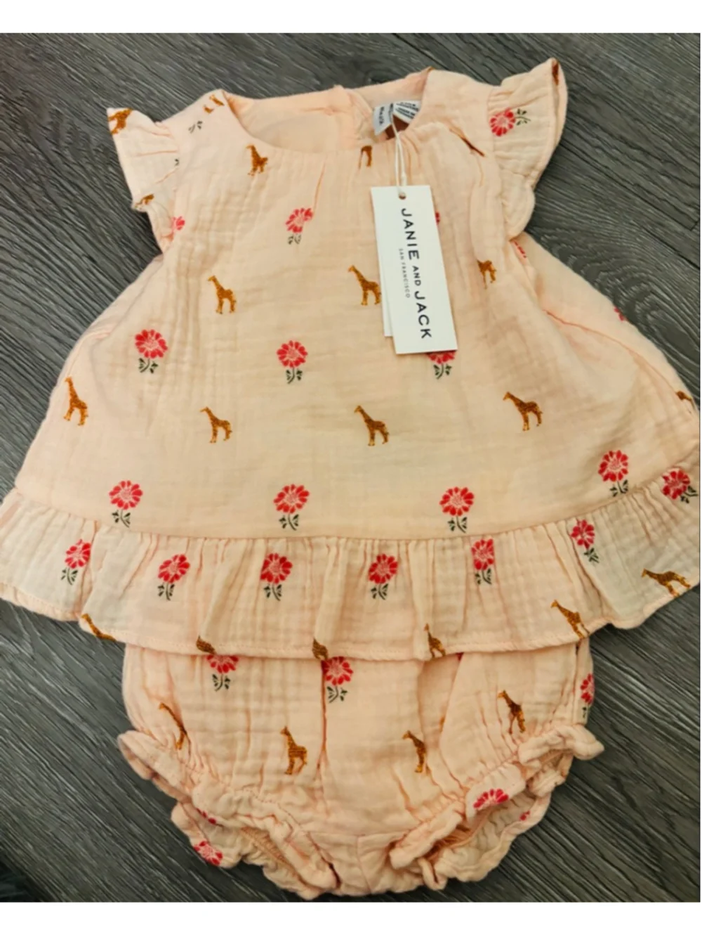Janie and Jack Matching Set 3-6 Months Pink Giraffe Floral